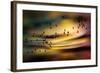 The Birds-Ursula Abresch-Framed Photographic Print