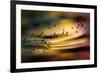 The Birds-Ursula Abresch-Framed Photographic Print