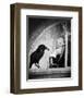 The Birds-null-Framed Photo