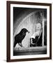 The Birds-null-Framed Photo