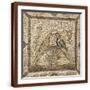 Brown Frame