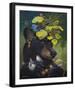 The Birdwatcher-Carolyn Schmitz-Framed Giclee Print