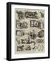 The Birmingham Cattle, Poultry and Dog Show-Alfred Courbould-Framed Giclee Print