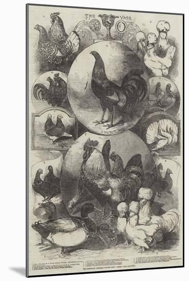 The Birmingham Christmas Poultry Show, Prizes-Harrison William Weir-Mounted Giclee Print