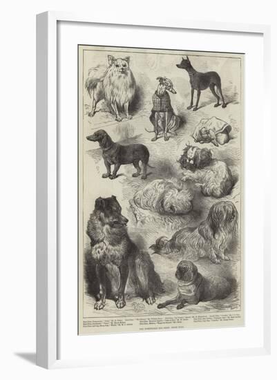 The Birmingham Dog Show, Prize Dogs-Harrison William Weir-Framed Giclee Print