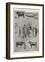 The Birmingham Fat Stock Show-Ralph Cleaver-Framed Giclee Print