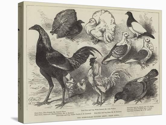 The Birmingham Poultry Show, Prize Birds-Harrison William Weir-Stretched Canvas