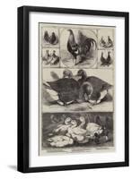 The Birmingham Poultry Show-Harrison William Weir-Framed Giclee Print