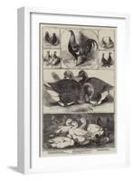 The Birmingham Poultry Show-Harrison William Weir-Framed Giclee Print