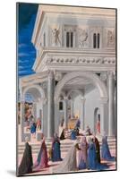 The Birth of the Virgin, 1467-Fra Carnevale-Mounted Giclee Print