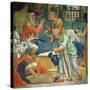 The Birth of the Virgin-Bernardino Luini-Stretched Canvas