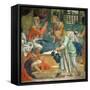 The Birth of the Virgin-Bernardino Luini-Framed Stretched Canvas