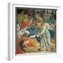 The Birth of the Virgin-Bernardino Luini-Framed Giclee Print