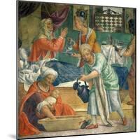 The Birth of the Virgin-Bernardino Luini-Mounted Giclee Print