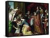 The Birth of the Virgin-Jacopo Ligozzi-Framed Stretched Canvas