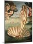 The Birth of Venus, 1478. Detail of the Birth of Venus in scallop shell.-Sandro Botticelli-Mounted Giclee Print