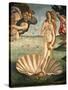The Birth of Venus, 1478. Detail of the Birth of Venus in scallop shell.-Sandro Botticelli-Stretched Canvas