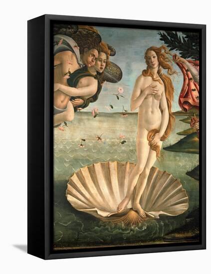 The Birth of Venus, 1478. Detail of the Birth of Venus in scallop shell.-Sandro Botticelli-Framed Stretched Canvas
