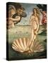 The Birth of Venus, 1478. Detail of the Birth of Venus in scallop shell.-Sandro Botticelli-Stretched Canvas