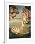 The Birth of Venus, 1478. Detail of the Birth of Venus in scallop shell.-Sandro Botticelli-Framed Giclee Print