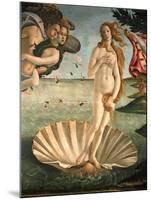 The Birth of Venus, 1478. Detail of the Birth of Venus in scallop shell.-Sandro Botticelli-Mounted Giclee Print