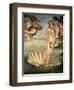 The Birth of Venus, 1478. Detail of the Birth of Venus in scallop shell.-Sandro Botticelli-Framed Giclee Print