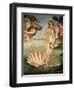 The Birth of Venus, 1478. Detail of the Birth of Venus in scallop shell.-Sandro Botticelli-Framed Giclee Print