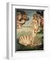 The Birth of Venus, 1478. Detail of the Birth of Venus in scallop shell.-Sandro Botticelli-Framed Giclee Print