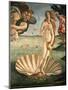 The Birth of Venus, 1478. Detail of the Birth of Venus in scallop shell.-Sandro Botticelli-Mounted Giclee Print