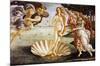 The Birth of Venus, c.1485-Sandro Botticelli-Mounted Art Print