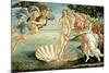 The Birth of Venus, c.1485-Sandro Botticelli-Mounted Giclee Print