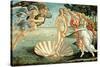 The Birth of Venus, c.1485-Sandro Botticelli-Stretched Canvas