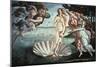 The Birth of Venus, C1482-Sandro Botticelli-Mounted Giclee Print