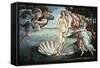 The Birth of Venus, C1482-Sandro Botticelli-Framed Stretched Canvas