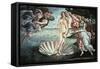 The Birth of Venus, C1482-Sandro Botticelli-Framed Stretched Canvas