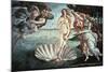 The Birth of Venus, C1482-Sandro Botticelli-Mounted Giclee Print