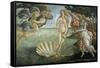 The Birth of Venus, Ca. 1485-Sandro Botticelli-Framed Stretched Canvas