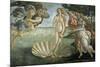 The Birth of Venus, Ca. 1485-Sandro Botticelli-Mounted Giclee Print