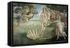 The Birth of Venus, Ca. 1485-Sandro Botticelli-Framed Stretched Canvas