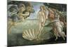 The Birth of Venus, Ca. 1485-Sandro Botticelli-Mounted Premium Giclee Print