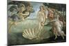 The Birth of Venus, Ca. 1485-Sandro Botticelli-Mounted Premium Giclee Print