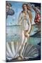 The Birth of Venus (Detail), C1485-Sandro Botticelli-Mounted Premium Giclee Print