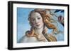 The Birth of Venus (Detail), C1485-Sandro Botticelli-Framed Premium Giclee Print