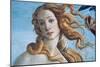 The Birth of Venus (Detail), C1485-Sandro Botticelli-Mounted Premium Giclee Print