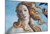 The Birth of Venus (Detail), C1485-Sandro Botticelli-Mounted Premium Giclee Print