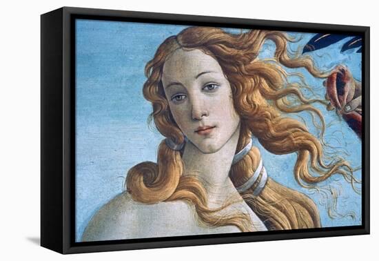 The Birth of Venus (Detail), C1485-Sandro Botticelli-Framed Stretched Canvas