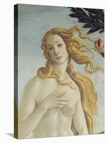 The Birth of Venus (Detail)-Sandro Botticelli-Stretched Canvas