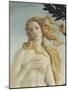 The Birth of Venus (Detail)-Sandro Botticelli-Mounted Giclee Print