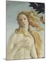 The Birth of Venus (Detail)-Sandro Botticelli-Mounted Giclee Print