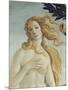 The Birth of Venus (Detail)-Sandro Botticelli-Mounted Giclee Print